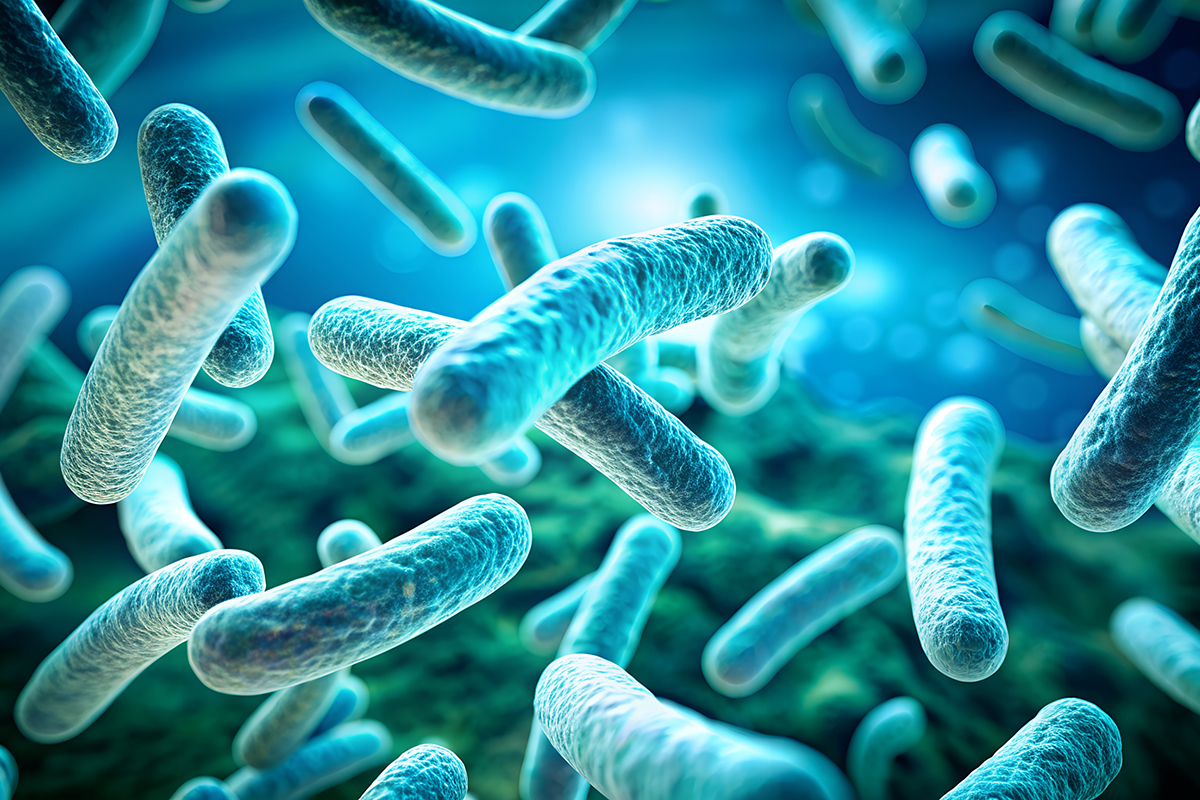 7 Health Benefits of Probiotics