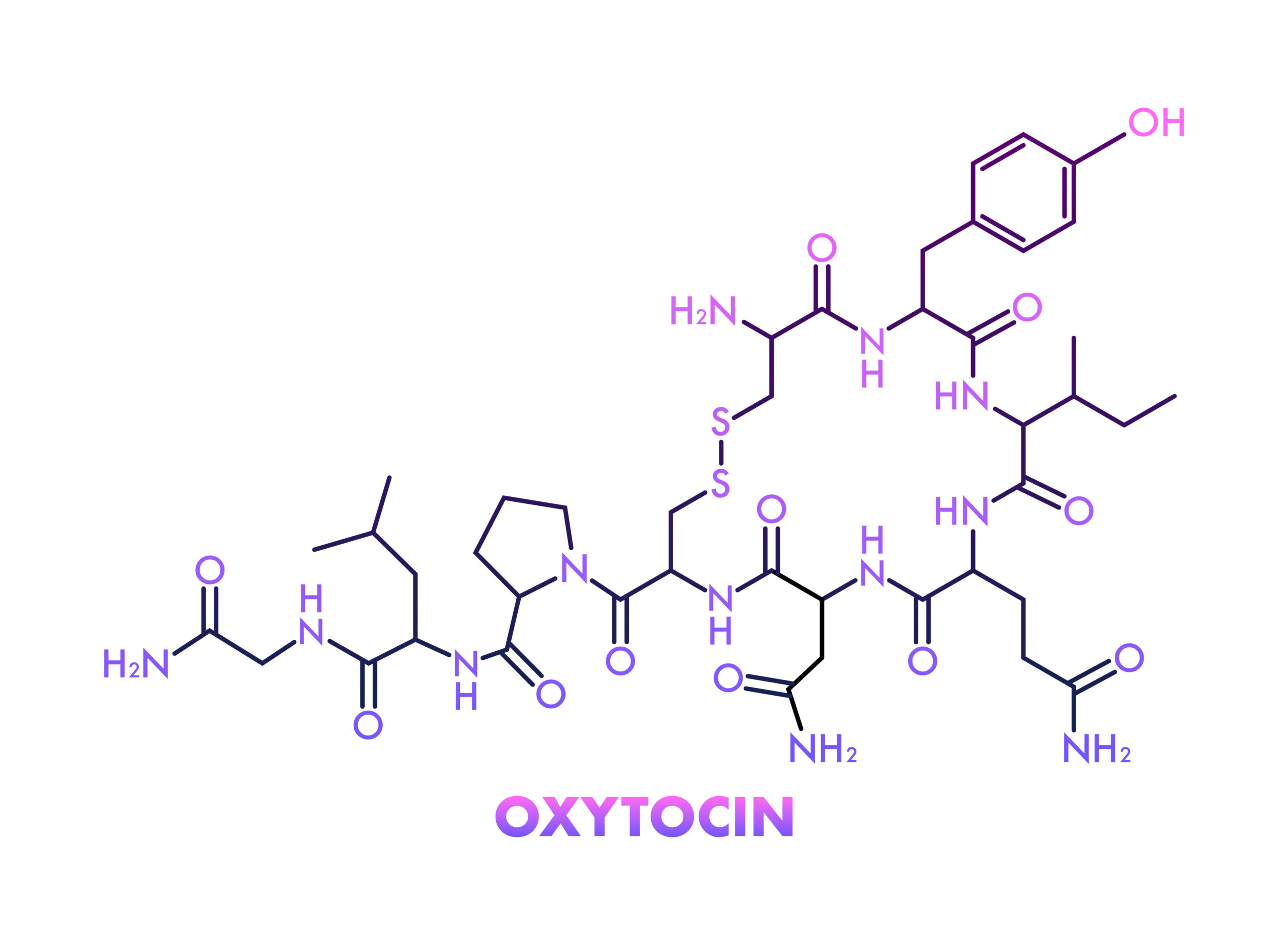 What Is Oxytocin