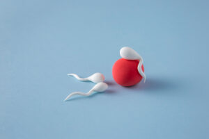 Sperm Production Drop