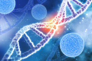 Hormones Behind the Changes