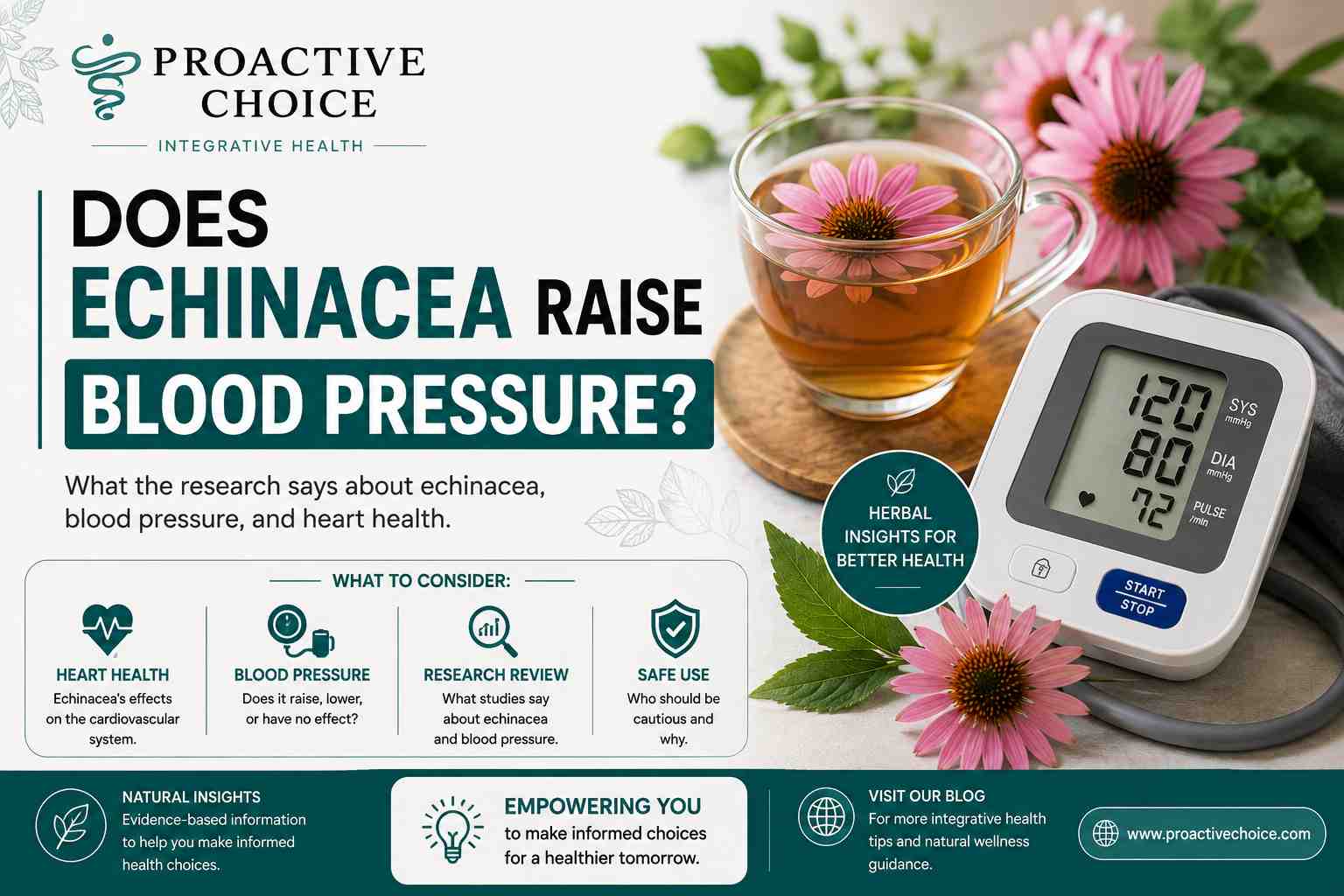 Echinacea flowers next to a blood pressure cuff, representing research on echinacea and blood pressure